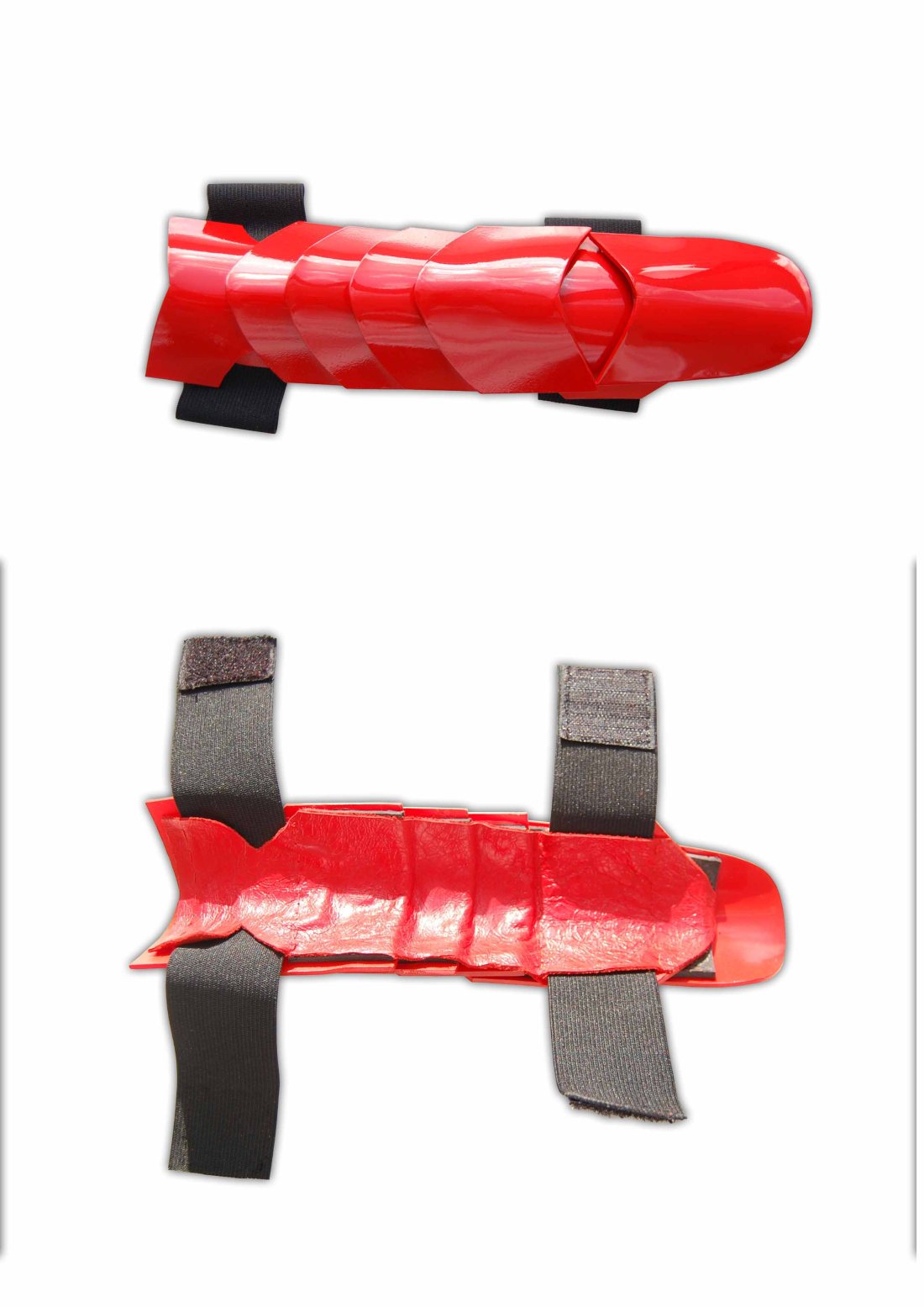 Crayfish guard photographs